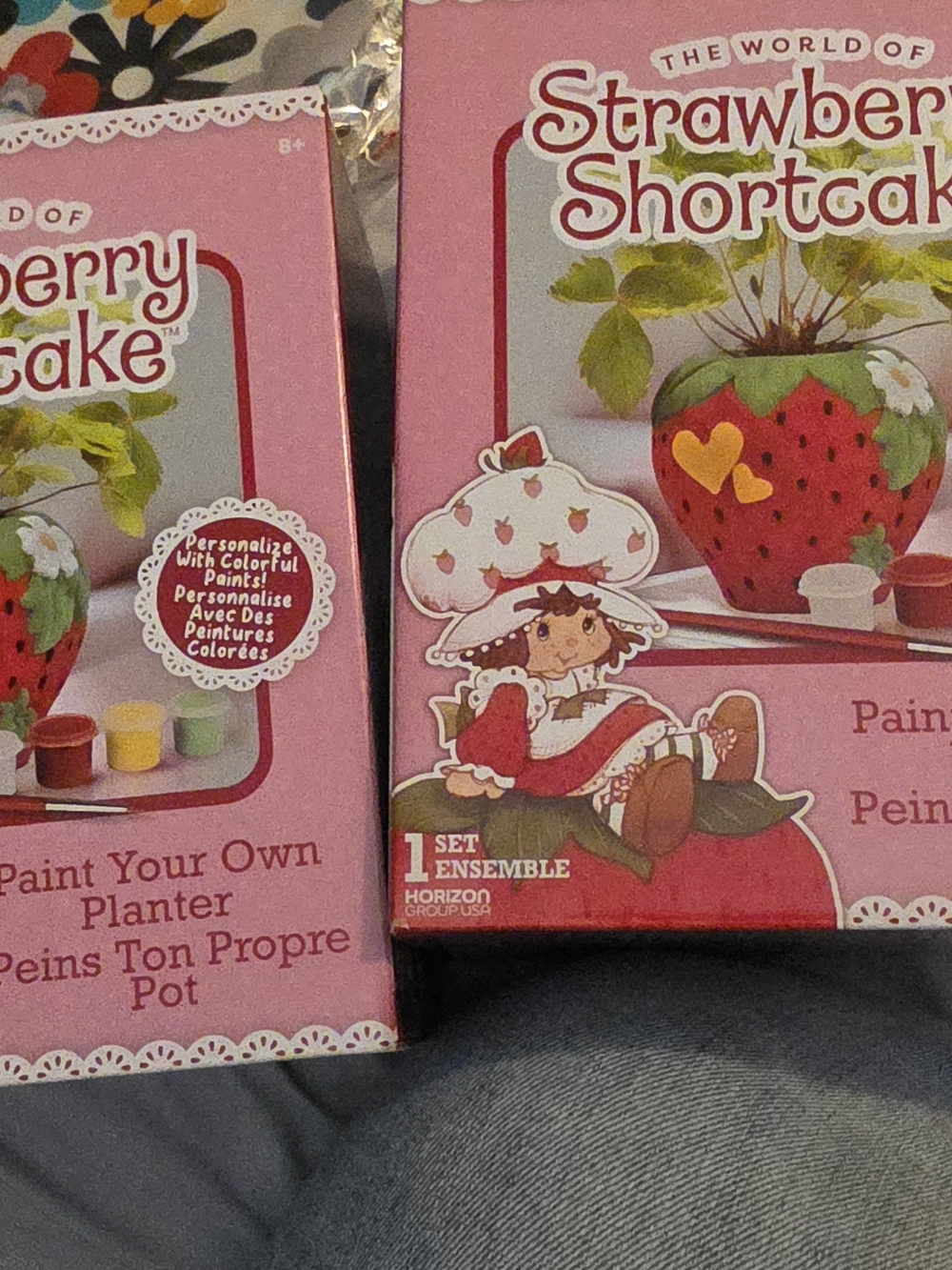 Strawberry Shortcake Paint-Your-Own Planter Kit - Pink